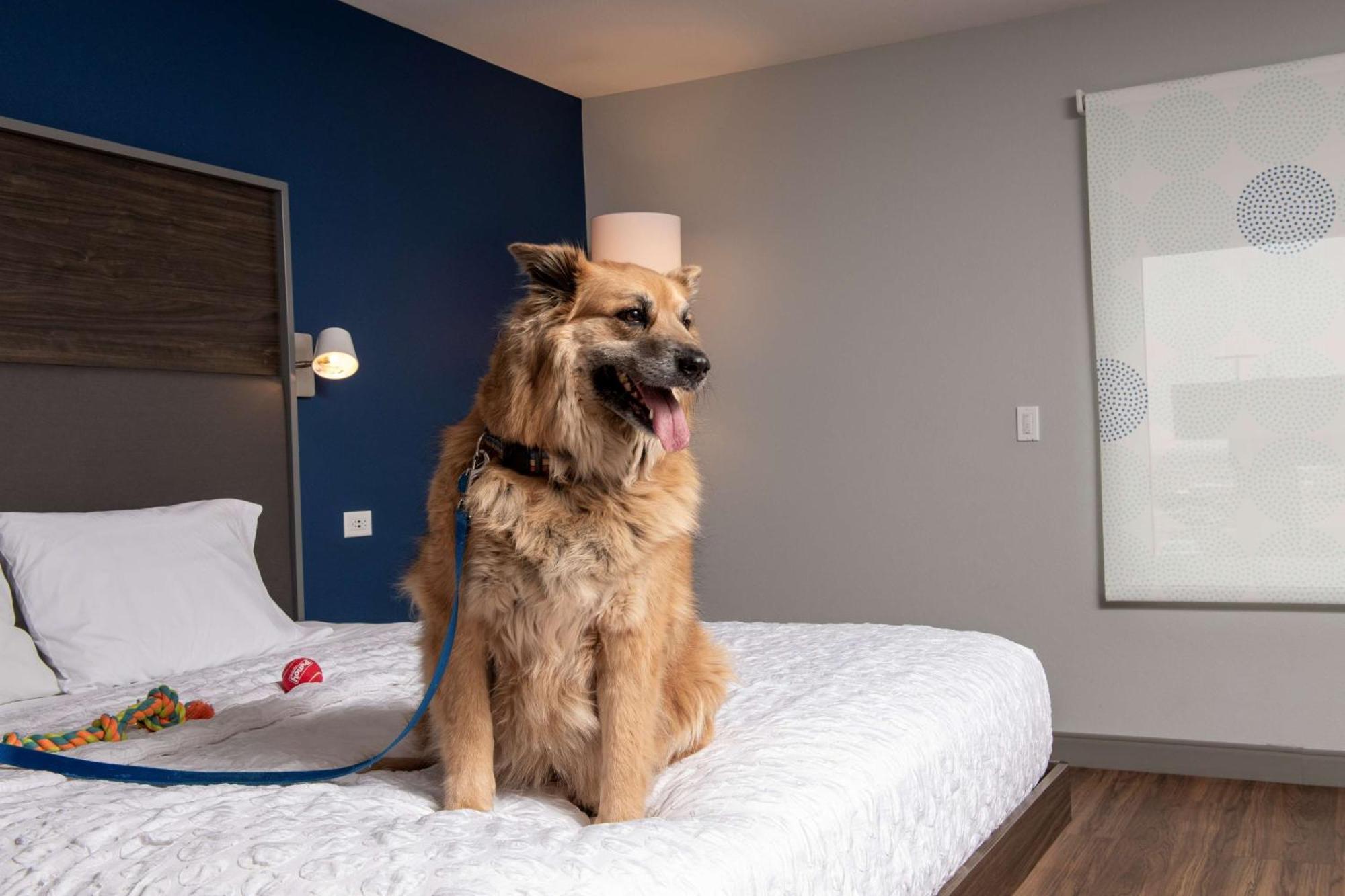 Tru By Hilton Rapid City Rushmore, Sd Ngoại thất bức ảnh